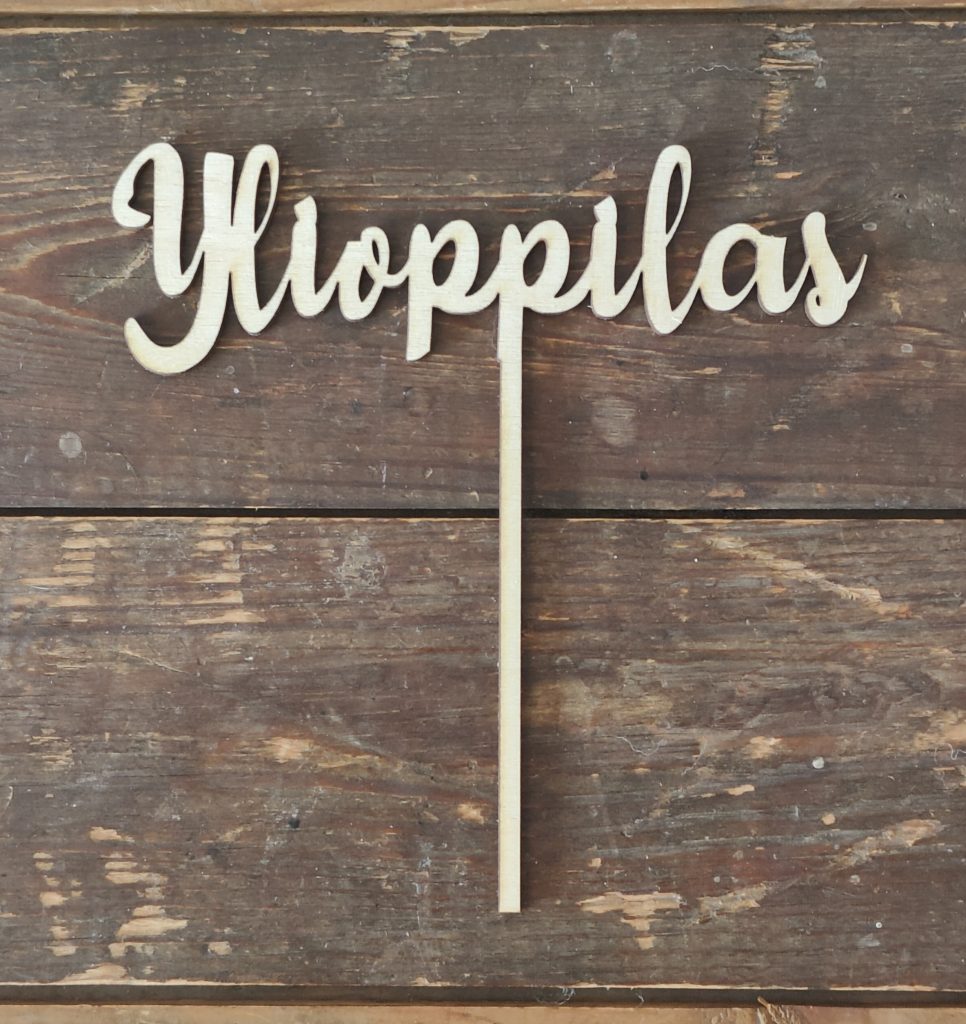 Ylioppilas
